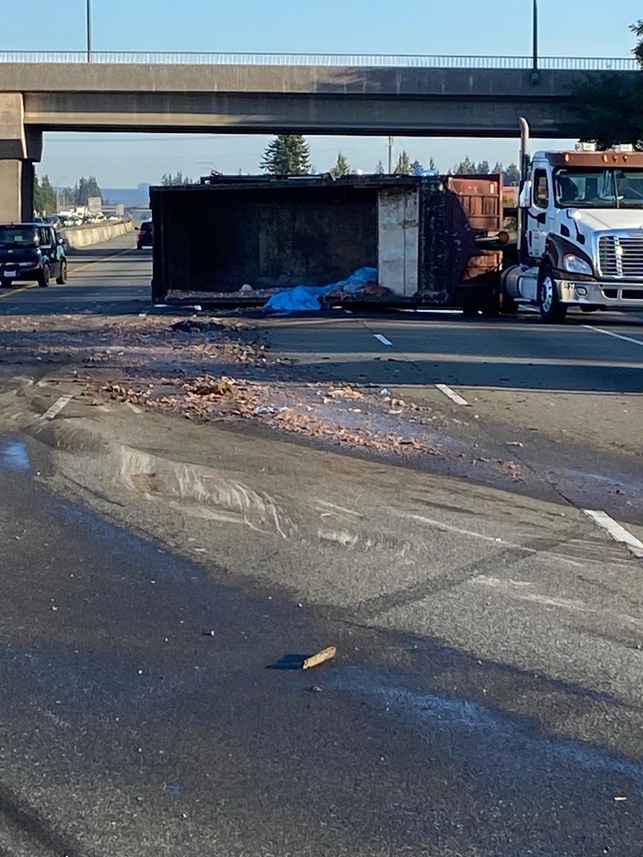 wspd7pio's tweet photo. 🚨N5 MP205 there is a semi with a rolled over trailer blocking all traffic lanes. The semi was transporting fish that spilled when the trailer rolled over. Traffic is currently getting by on the left shoulder. https://t.co/igYyUVd7v2