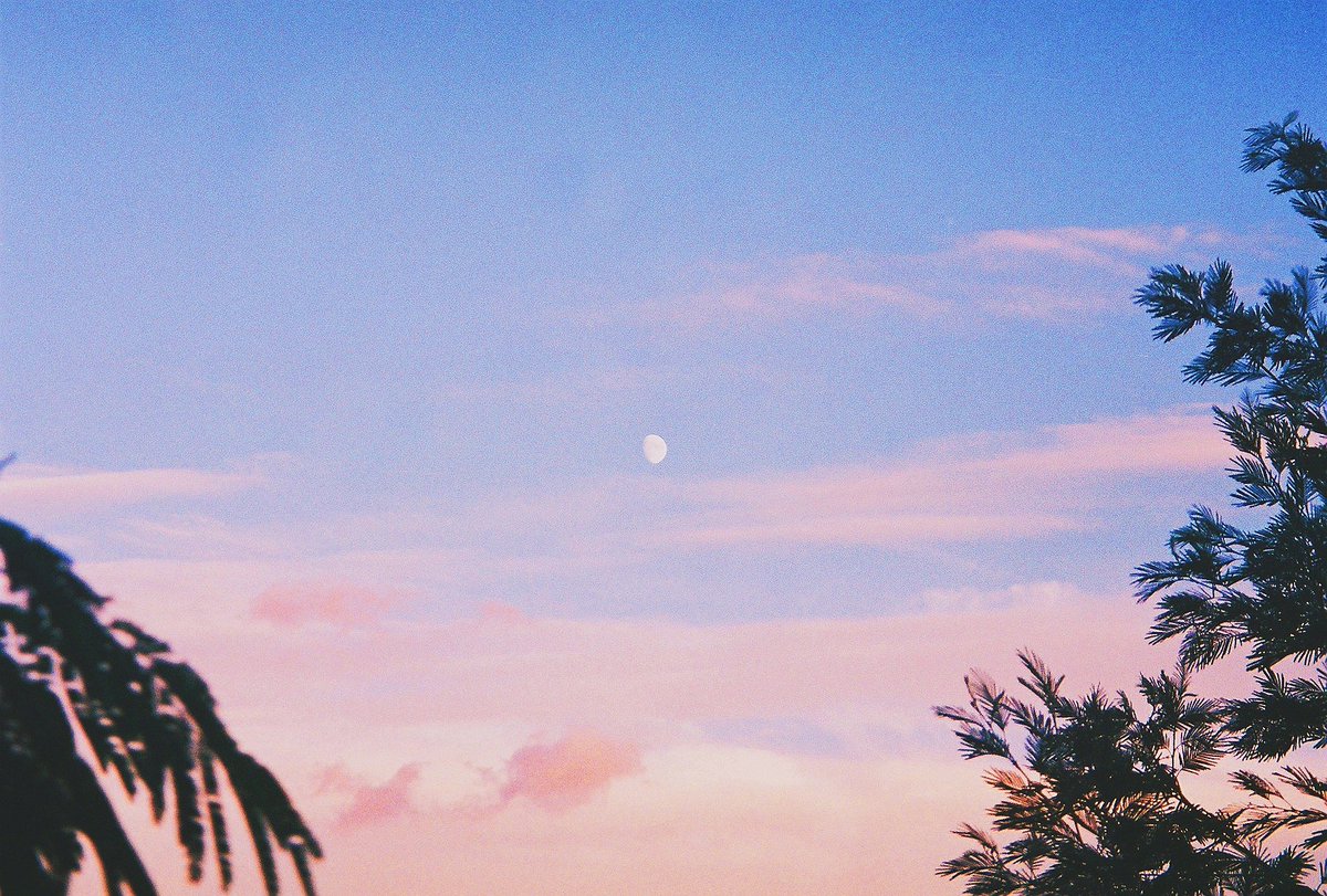 A summer's evening on 35mm film