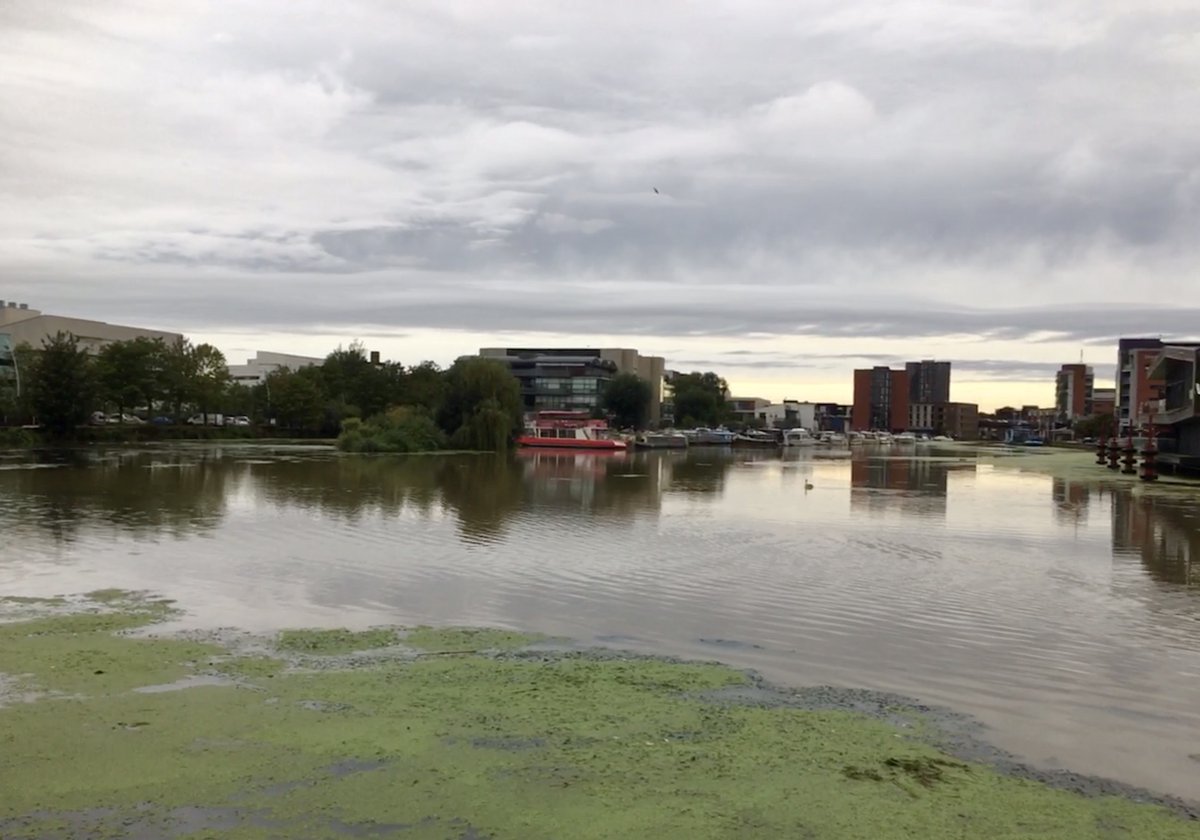 Cloudwatcher32's tweet photo. Green algae under grey skies
Brayford Pool, Lincoln
21Sep2013
@ThePhotoHour @StormHour
@EarthandClouds #GuessCloud #clouds #skies
#Lincolnshire https://t.co/qmyv0VdSDn