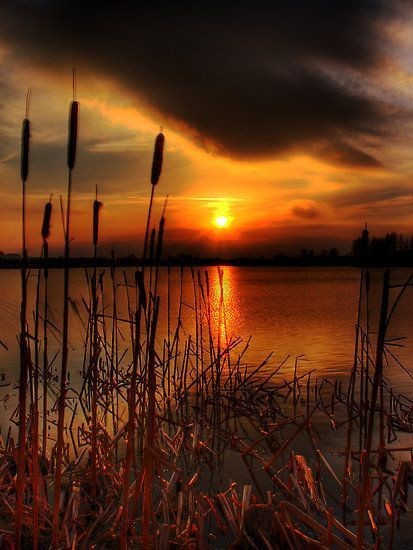 Image 953 - Landscape , Sunset , Grass , Clouds . .