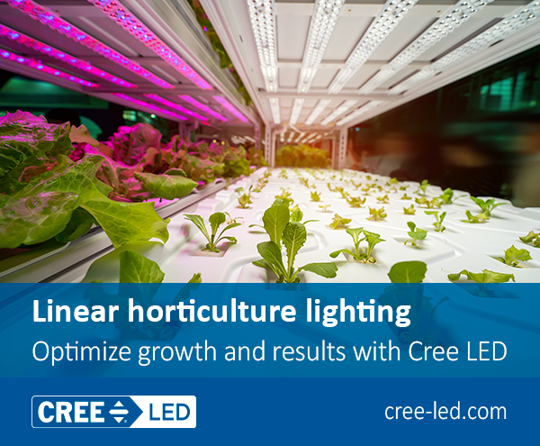 Cree_LED_SGH's tweet photo. #LED lighting solutions optimize growth and meet the demands for precise ratios of spectral content, with unparalleled efficiency and durability.
Info: https://t.co/kW9B9SMtZy
Partners: GS Iluminaciones: https://t.co/I3vIORwoIR
RED Horticulture: https://t.co/M2ELV2OjiH
#sgh #grow https://t.co/4NyhmiRJhE
