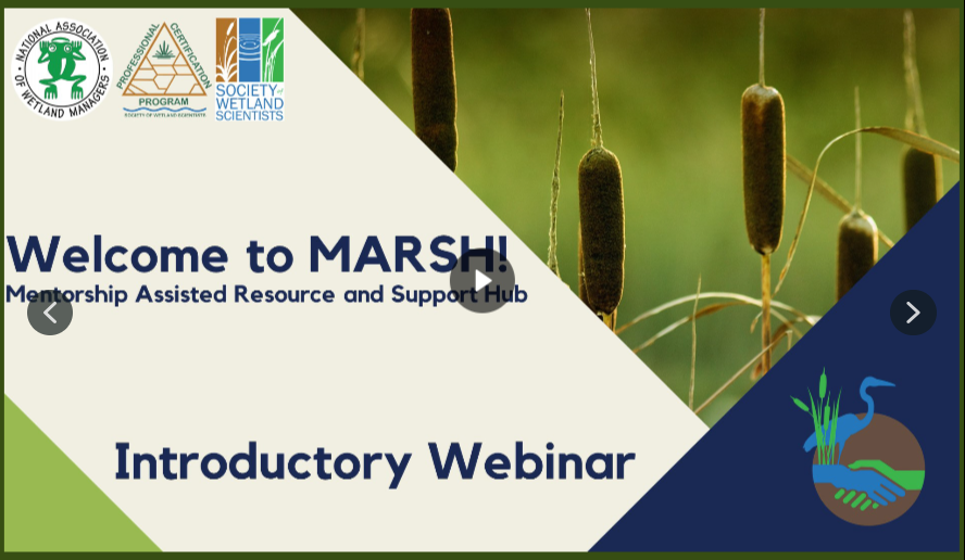 SWS_org's tweet image. Want more information on MARSH before applying to be a mentee? Watch our informational webinar to learn more about this exciting year-long mentorship opportunity. Watch the webinar and submit your application here by Oct. 7.  bit.ly/3Oj4hwF
