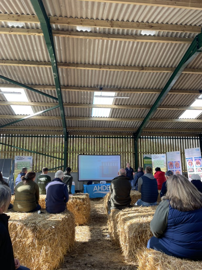 Tom Price (@__tomprice) on Twitter photo Our very own head of livestock MI Mr David Swales going through the EUROP grid at the 3rd Right Carcase, Right Market event
Great day with <a href="/karl_p327/">Karl Pendlebury</a>, <a href="/MartinEcclesBu1/">Martin Eccles @Butcherboy1965</a> and <a href="/SamBoonBreeding/">Samuel Boon</a> put on with Dalehead Vets. The NW weather cleared up too! <a href="/AHDB_BeefLamb/">AHDB Beef & Lamb</a> #AHDBInsights Our very own head of livestock MI Mr David Swales going through the EUROP grid at the 3rd Right Carcase, Right Market event
Great day with <a href="/karl_p327/">Karl Pendlebury</a>, <a href="/MartinEcclesBu1/">Martin Eccles @Butcherboy1965</a> and <a href="/SamBoonBreeding/">Samuel Boon</a> put on with Dalehead Vets. The NW weather cleared up too! <a href="/AHDB_BeefLamb/">AHDB Beef & Lamb</a> #AHDBInsights