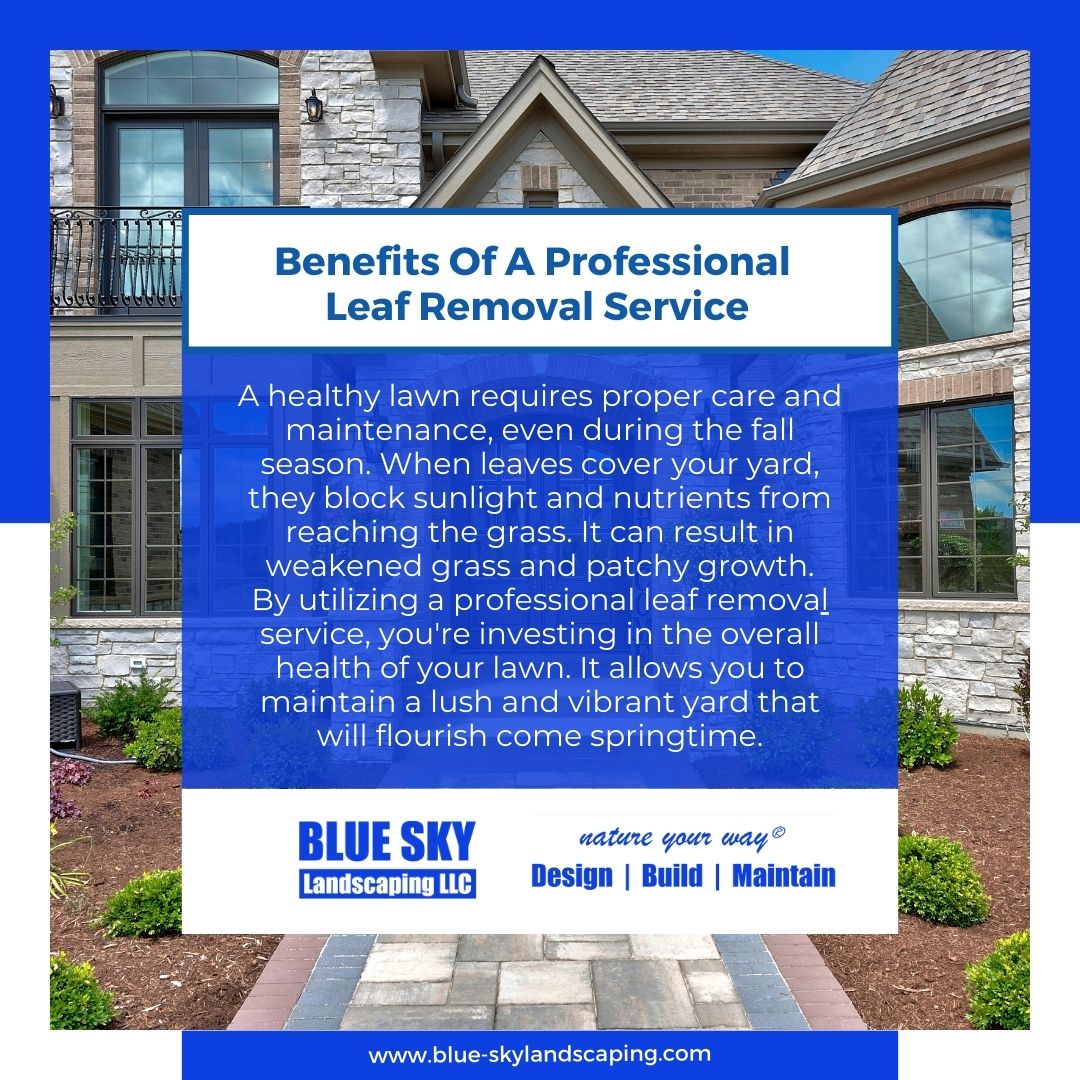 Time to turn a new leaf this fall with Blue Sky Landscaping! Our efficient leaf removal service keeps your property looking immaculate. Enjoy crisp mornings and vibrant trees while we do the hard work for you. 🍂 Reach out today for a leaf-free yard! 

#OutdoorBeauty #FallCleanUp