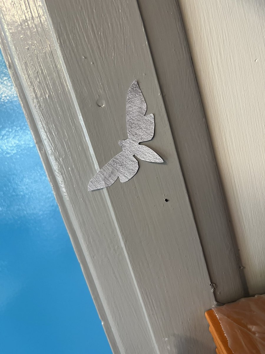 Scott Russell tweet media