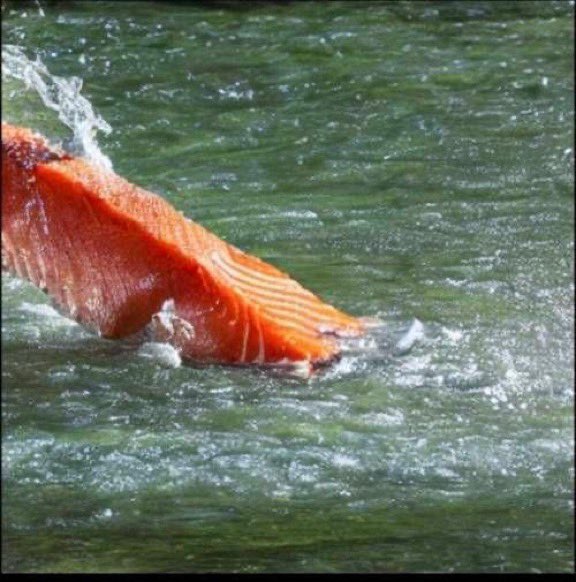 This is still the best AI ever generated Salmon jumping in a river