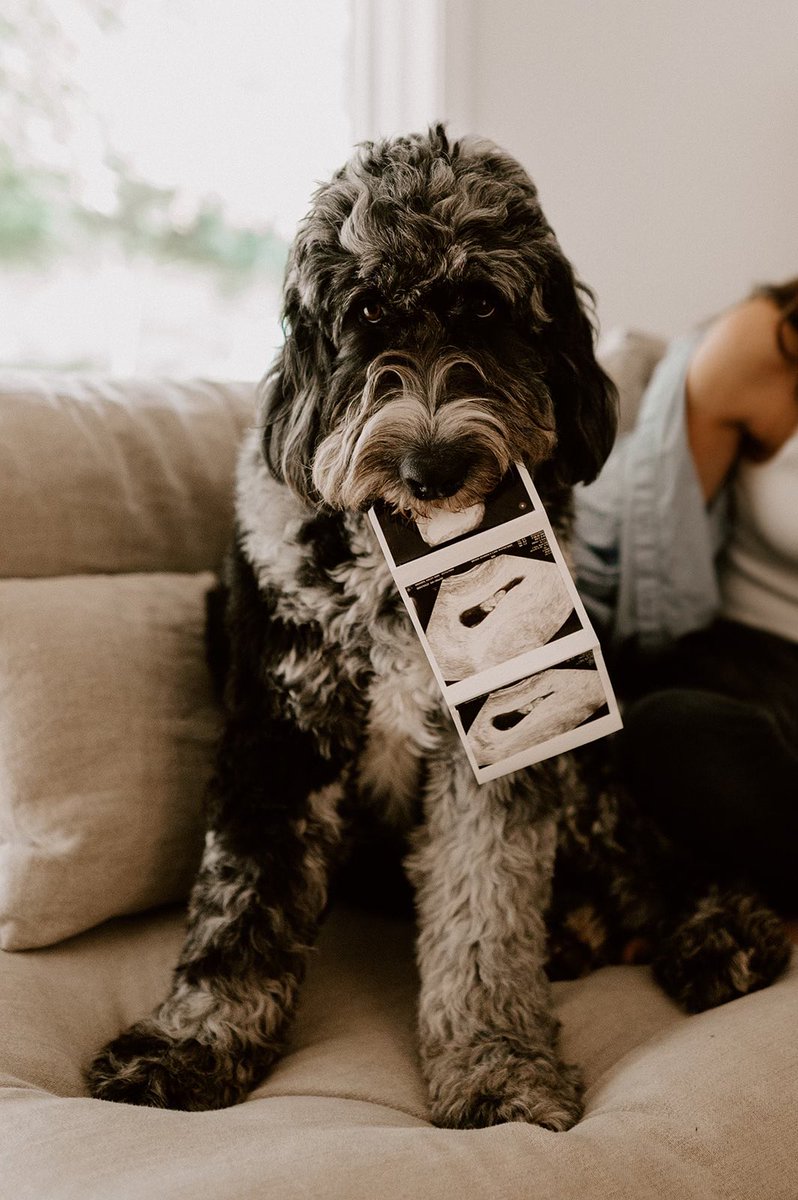 Big news, March ‘24 🩵👨‍👩‍👦

📸 Hayley Dolson