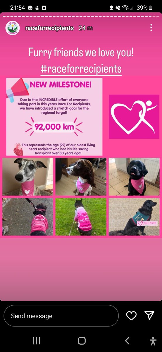 Neo can't wear pink whilst he is working but the other pooches are rocking the look. Amazing efforts for every team taking part in race for recipients have really enjoyed the pictures and the stories. @R4R2023 @URTMRI can Neo be an honorary staff member for the week 🤣