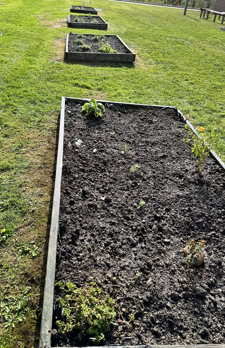 5th Grade HP Discovery Art/Garden Club did a bit of planting! Not bad for one day 😎👍🏻🌱