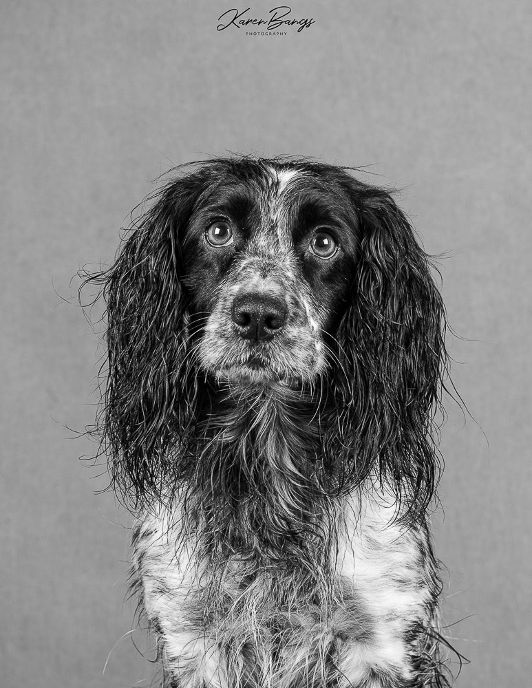 I enjoyed spending some time upskilling on studio work as part of a recent workshop at Workingline Images, and thought I’d experiment a bit with a monochrome image. Who can resist that face?!