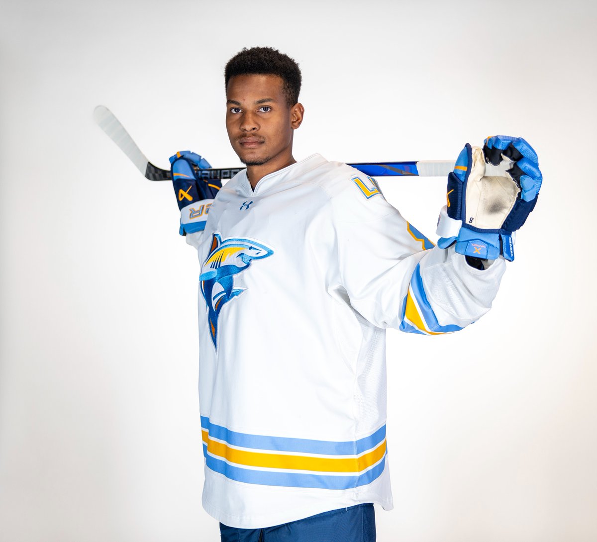 LIU Men’s Ice Hockey tweet media