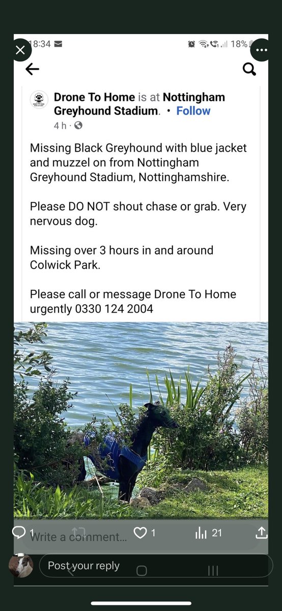 MISSING Racing greyhound missing from Nottingham stadium, Colwick, Nottingham DO NOT CHASE