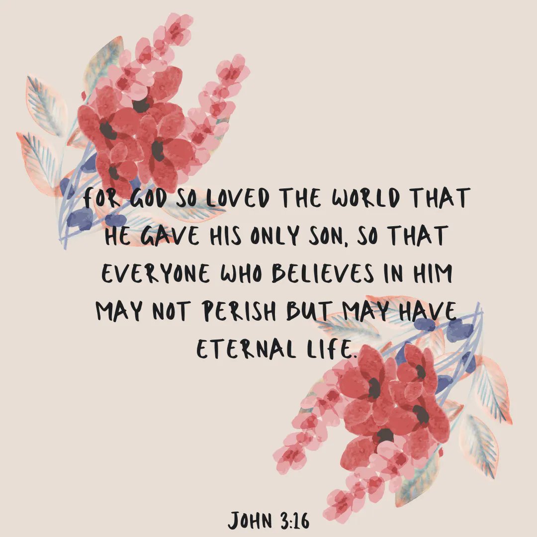 Synod of the Sun tweet media