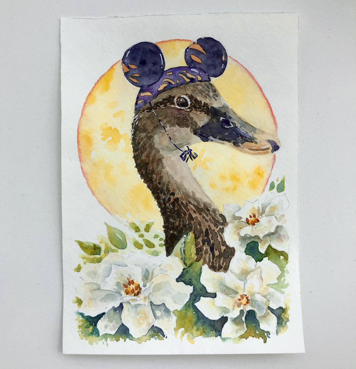 Disney Duck hiding in some flowers!!! 🌺 

#disneyduck #duckart #birding #birdart #winsornewton #carandache #animalart