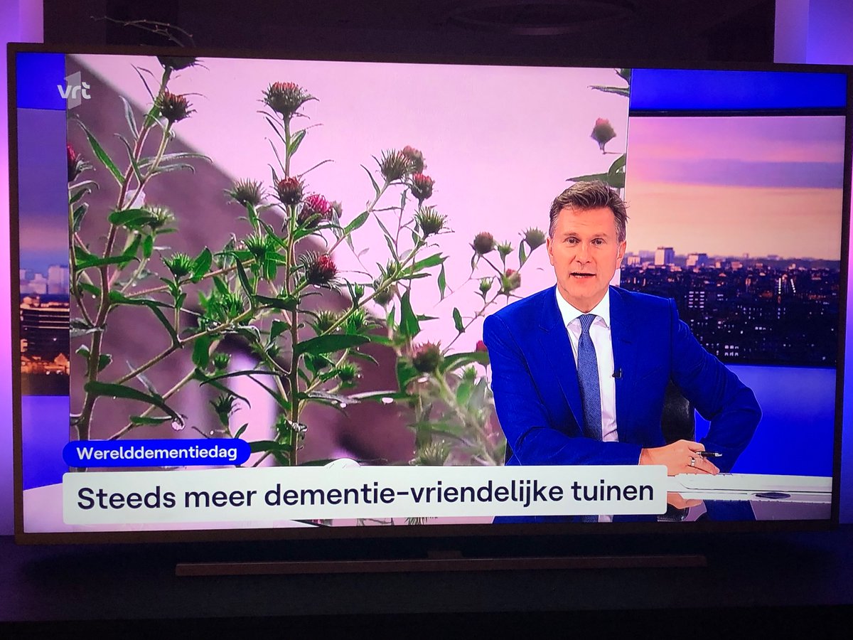 Speciale aandacht voor dementie-vriendelijke tuinen! Ontdek hoe #Sensegarden op een budgetvriendelijke manier kan helpen om deze droom waar te maken. Meer info op sensegarden.be #DementieZorg #sensegarden 
#deJaarlijkseReminder
#DementieDag
#VergeetMijNiet.