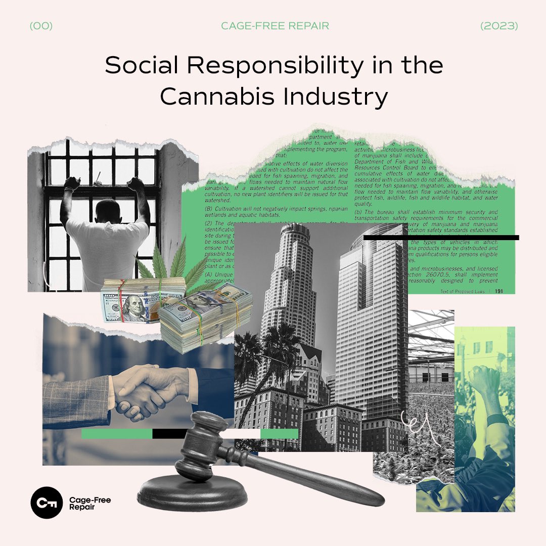 Cagefreerepair's tweet photo. Corporate social responsibility in cannabis?
In a new report, we studied 20 of the largest weed companies in North America.
The results?
The industry is FAILING its social responsibilities.
Find out more at https://t.co/4gKoBGWZ5R
#cannabisindustry #csr #repair https://t.co/kF0JTn98ea