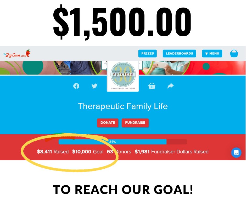 TFLifeTX's tweet photo. We are ALMOST there! Just $1500 left to reach our goal. We've got til 5:59pm to make it happen!

https://t.co/3pmC1r8JTy

#biggive #donate #TherapeuticFamilyLifeTX #LettingHisLightShineThrough #Foster #Adoption https://t.co/V1pzy7BbSK