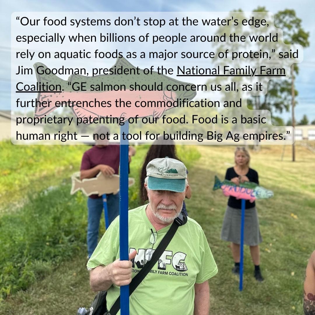 Today we held a press conference by AquaBounty's Indiana facility! We were joined by family farmers and community fishers including #Yakama Nation Tribal Fisherman Randy Settler who caught the #Wild #ColumbiaRiver #Salmon we will be eating tonight! <a href="/NAMA_NET/">NAMA</a> <a href="/FarmAid/">Farm Aid</a> <a href="/propublica/">ProPublica</a>