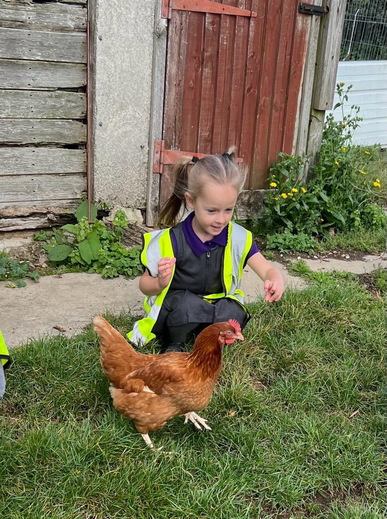 ClaphamPatching's tweet photo. What more could you ask for at the end of a long week? @SDETrust @worthinghigh_ht @ChiDioEducation @NASmallSchs @sdnpa https://t.co/ql2VOVRWka