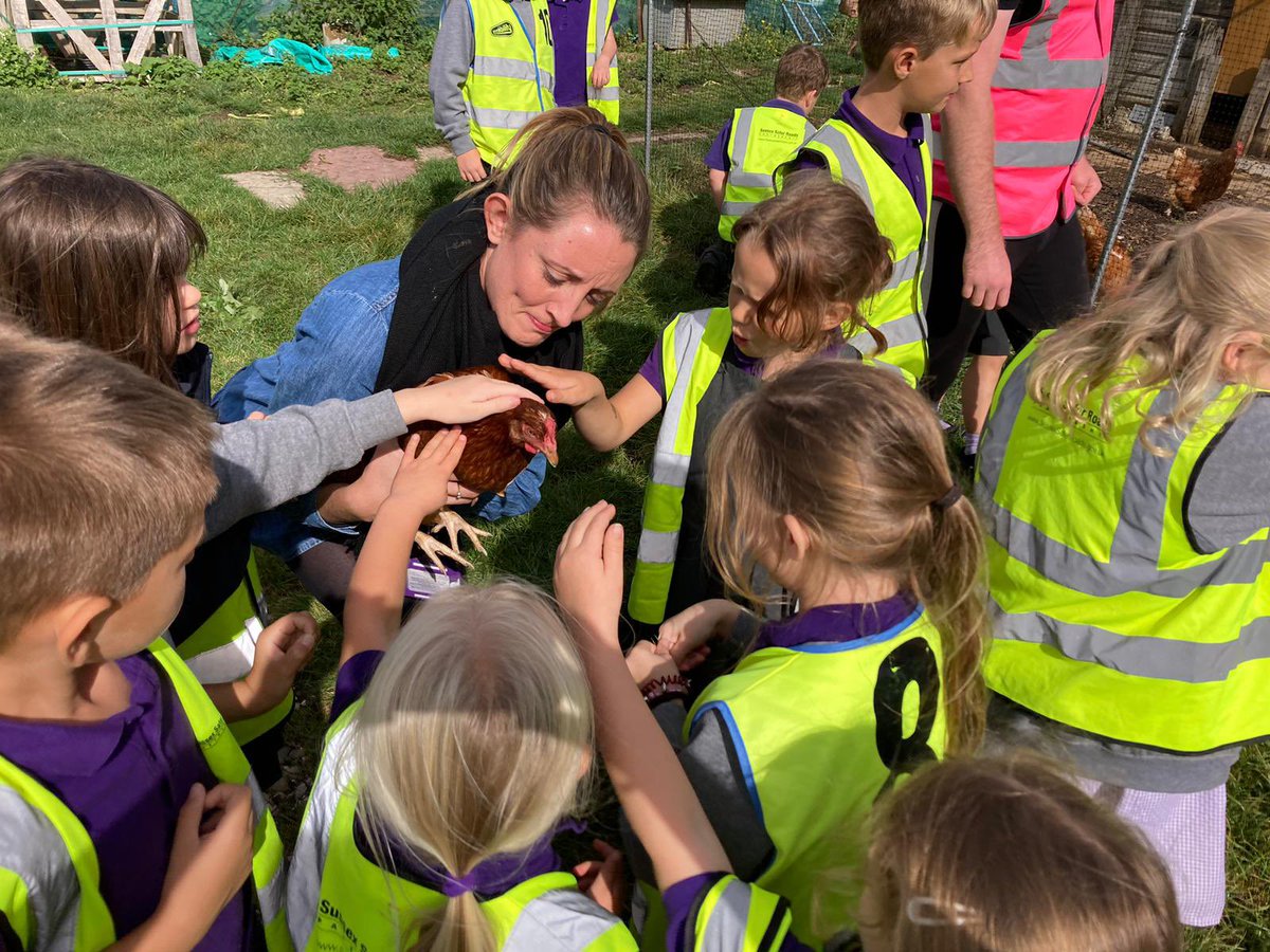 ClaphamPatching's tweet photo. What more could you ask for at the end of a long week? @SDETrust @worthinghigh_ht @ChiDioEducation @NASmallSchs @sdnpa https://t.co/ql2VOVRWka