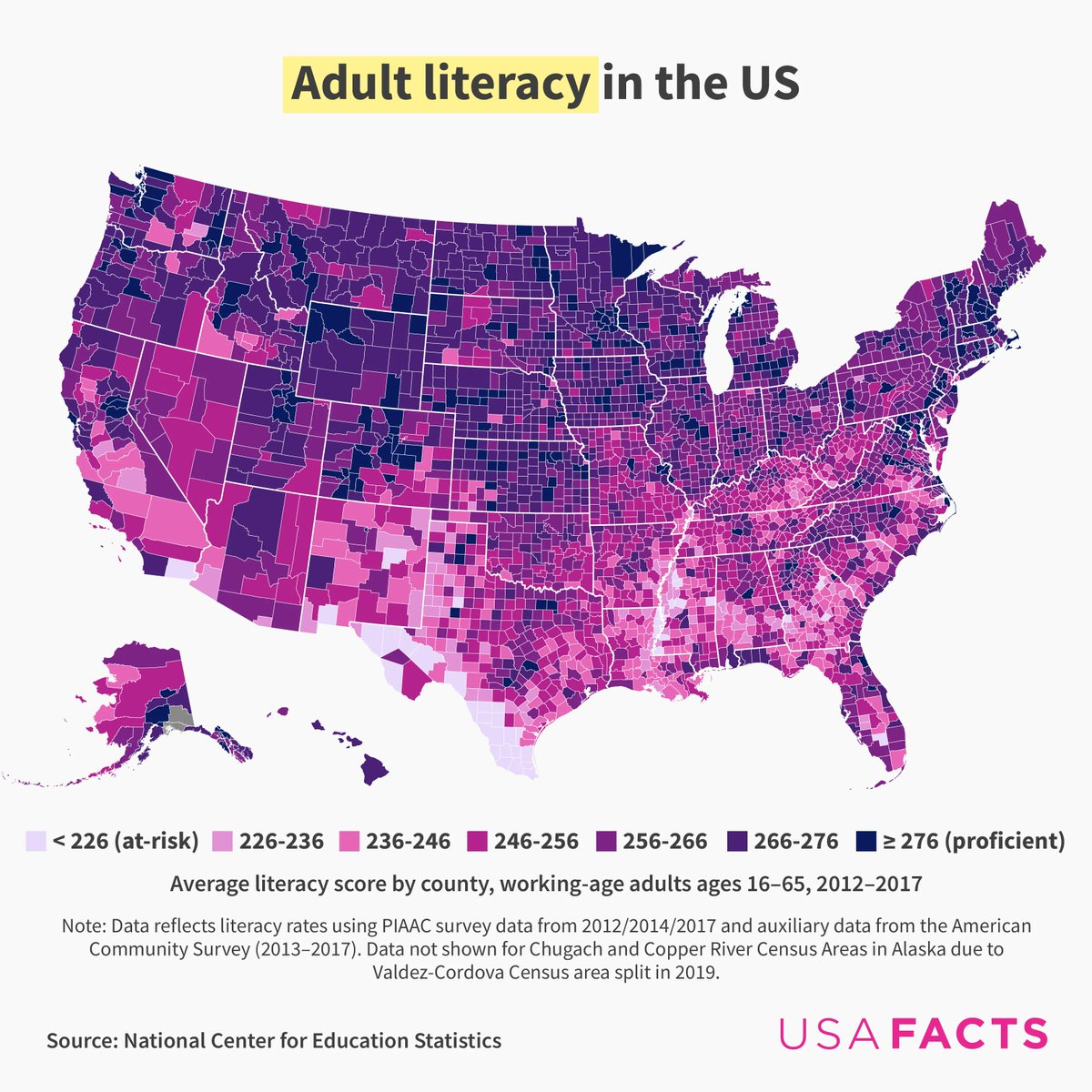 Poor adult literacy is tackled in early life. Considering it is the richest mega country, the US has neglected public education.