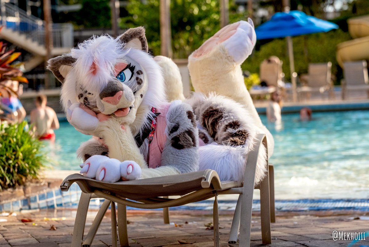 ChionSnep's tweet photo. A kitty gal invites you to get a tan in with her, do you accept 💕

📸 @Mekhoiii 
🪡 @PNWorks https://t.co/6tIc9jP3Os