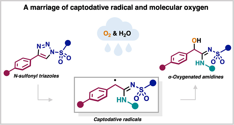 Fokin Lab USC tweet media