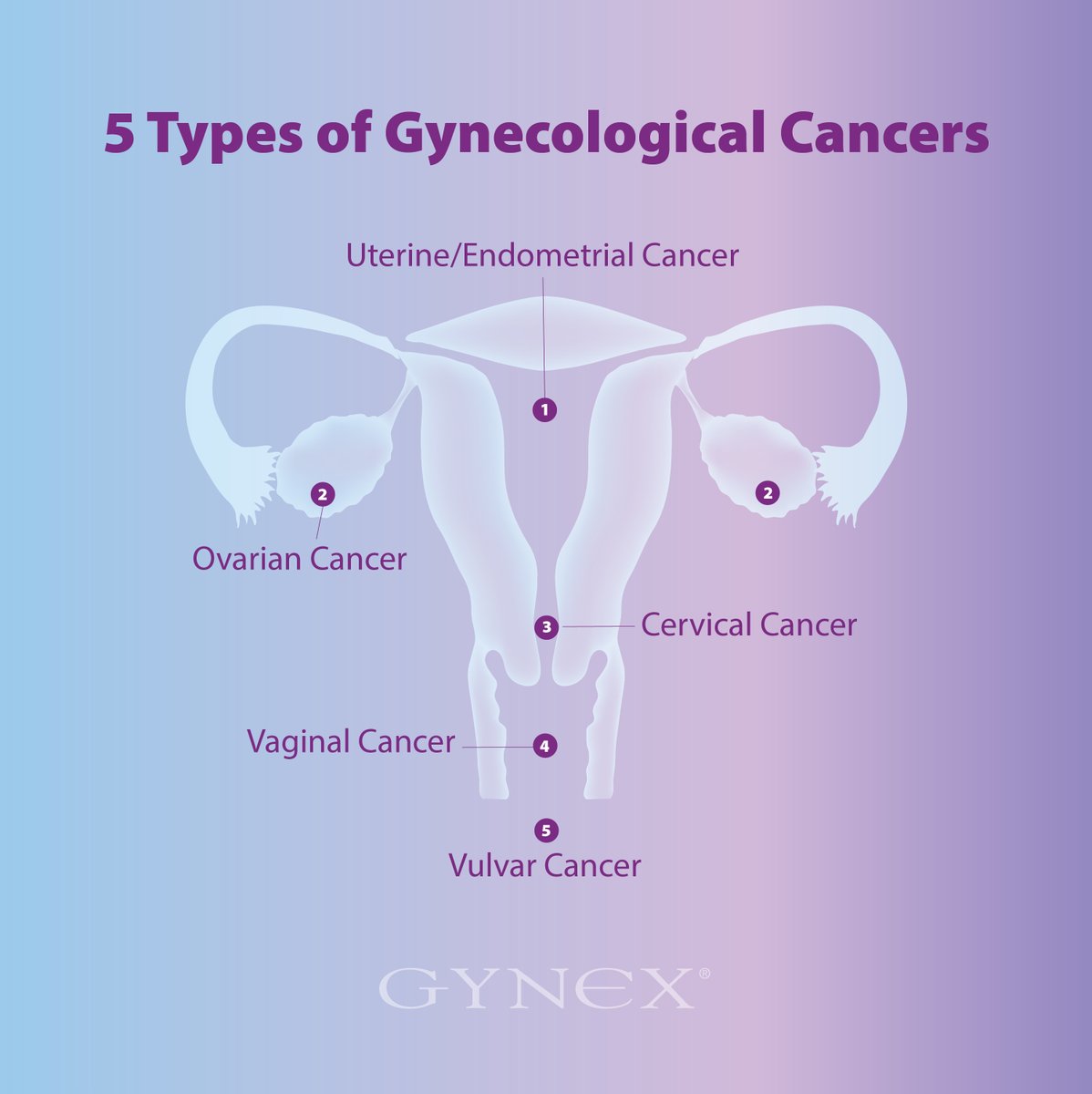 Can you name the 5 types of Gynecological Cancers? 
Let's spread awareness 💜#GynecologicCancerAwarenessMonth #GCAM #GynCancer #GynOncologists #CervicalCancer #OvarianCancer #UterineCancer #EndometrialCancer #VaginalCancer #VulvarCancer #EarlyDetectionMatters #CancerAwareness