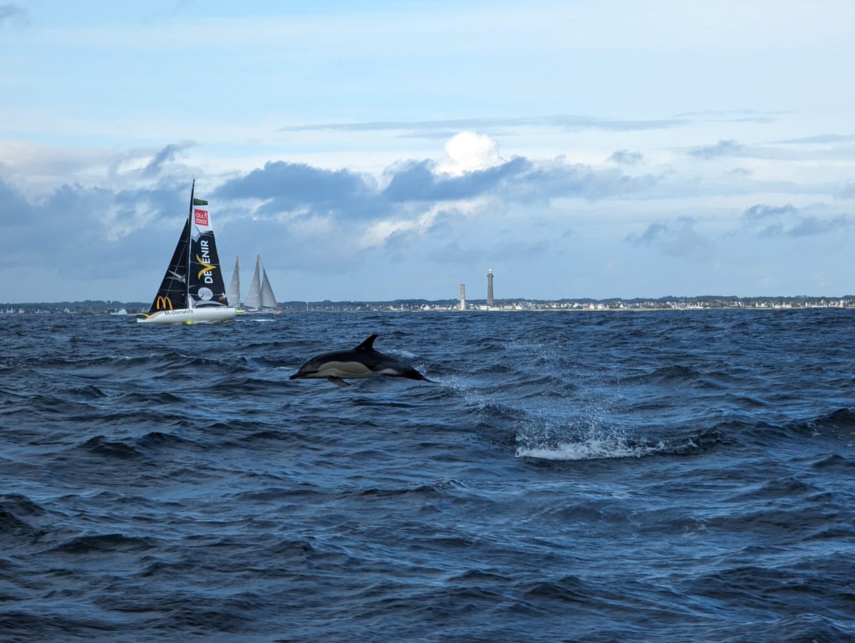 😎 Un nouvel invité surprise aux côtés de <a href="/VioletteDorange/">Violette Dorange</a> et Damien Guillou après le départ des 48h Azimut 🐬

📸 Merci <a href="/RonanGladu/">Ronan Gladu</a>