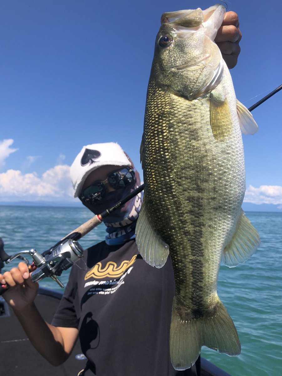 MauYuhi's tweet photo. マイクロDS炸裂の琵琶湖！ https://t.co/Qj5fBXnENW