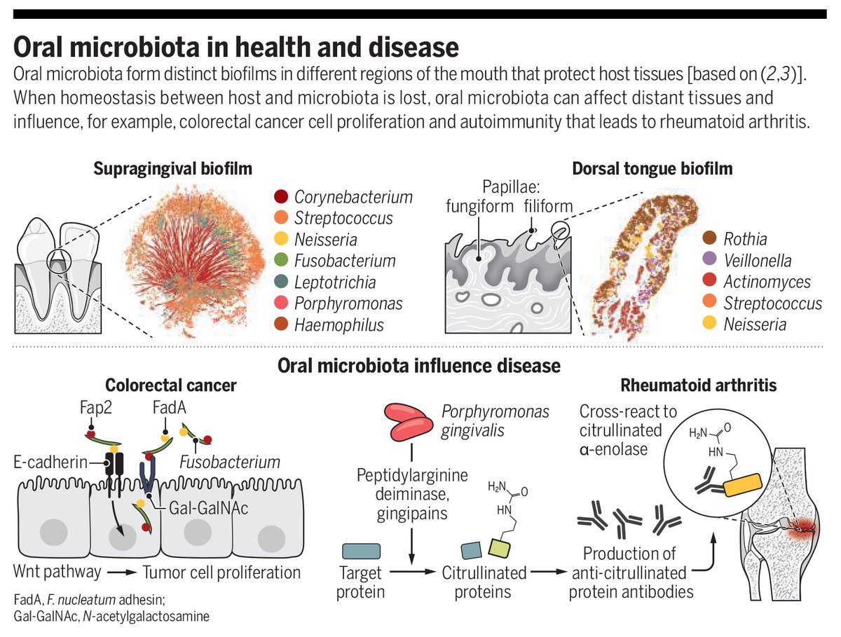 Science Magazine tweet media
