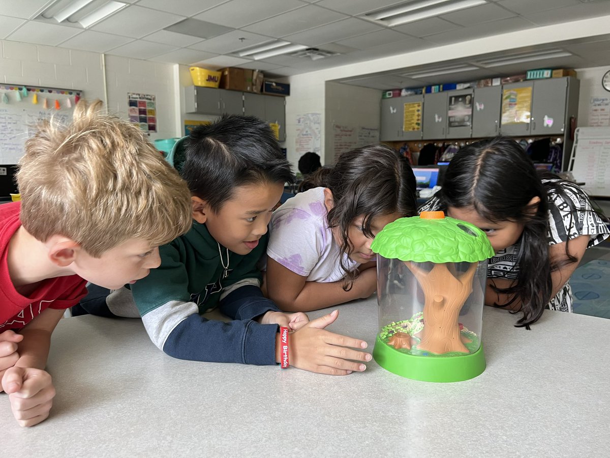 Bailey Gardner tweet media