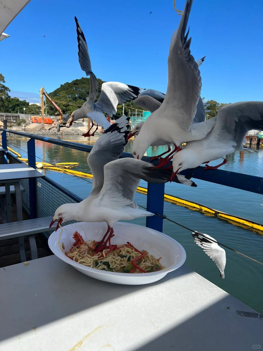 datex71's tweet image. 