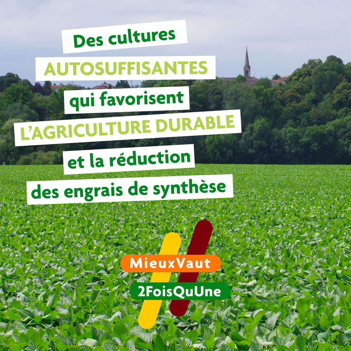 Les légumineuses, des cultures bonnes pour notre alimentation et pour la Terre ! 🫘🌍 #agriculture

On connaît les bienfaits des #légumineuses pour notre #alimentation mais saviez-vous que leur culture possède de nombreux atouts pour l’#environnement ?

1️⃣ Les légumineuses sont