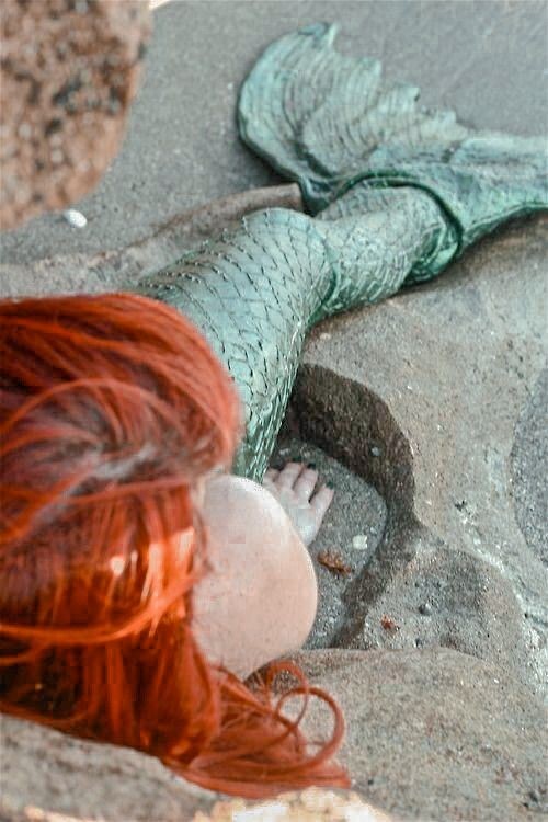 patriciaam_a's tweet photo. ⏩️ Hilo con libros de retellings de la Sirenita 🌊🦀🐚 https://t.co/jmjFItWinC
