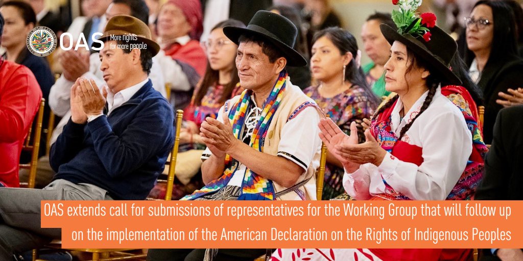 OAS_official's tweet photo. 📣The call has been extended until September 29
Legitimate #IndigenousPeoples organizations can present their nominations for principal and alternate representatives for the Working Group for the implementation of the #ADRIP @OAS_Inclusion
📰 https://t.co/vKhl8zjYfy https://t.co/Ld5Opn2iTv