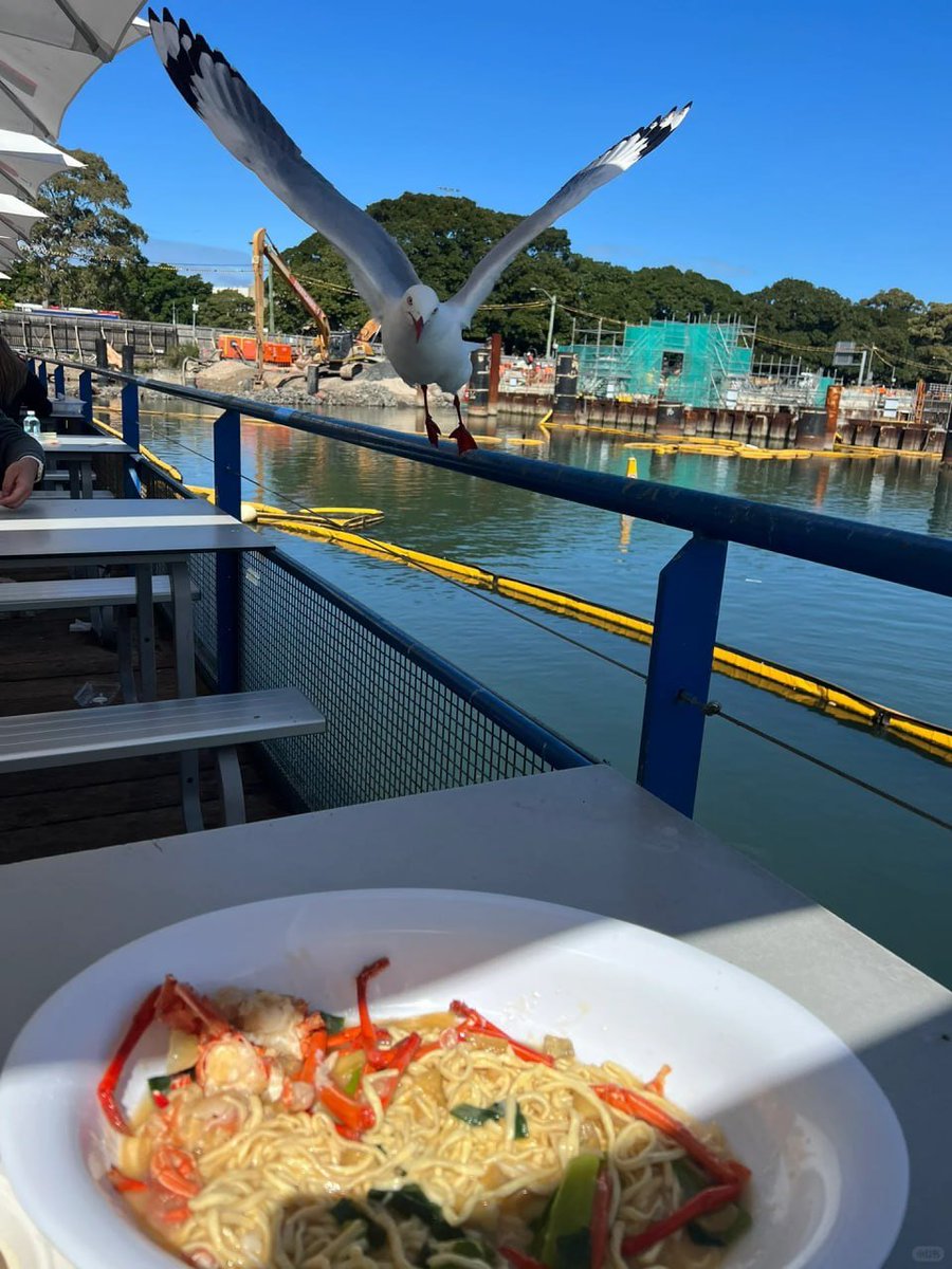 datex71's tweet image. 