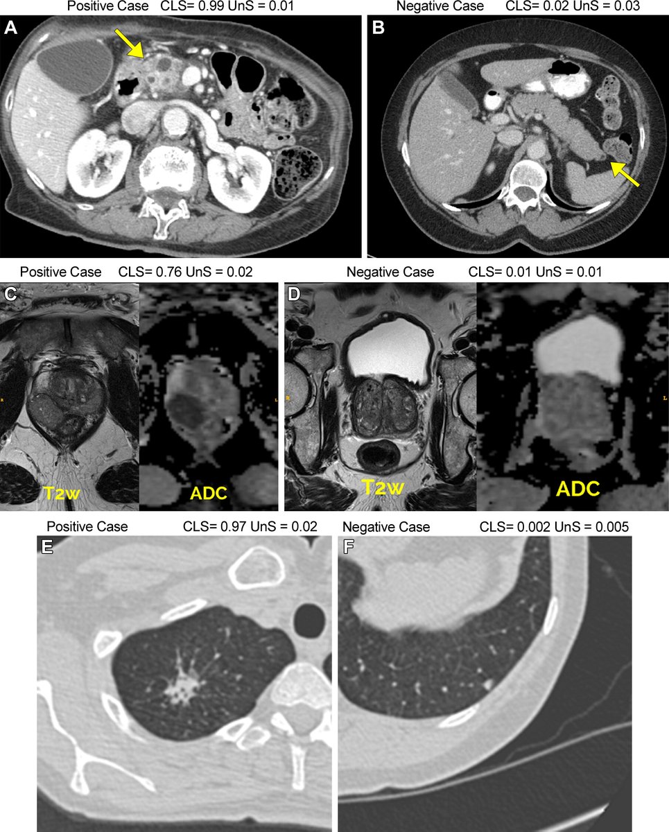 Radiology tweet media