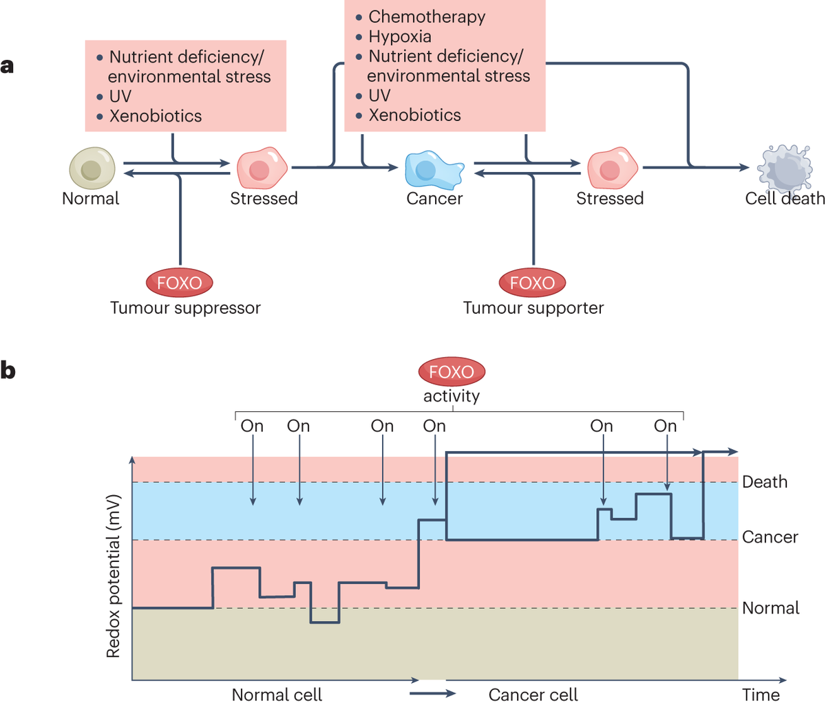 Nature Reviews Molecular Cell Biology tweet media
