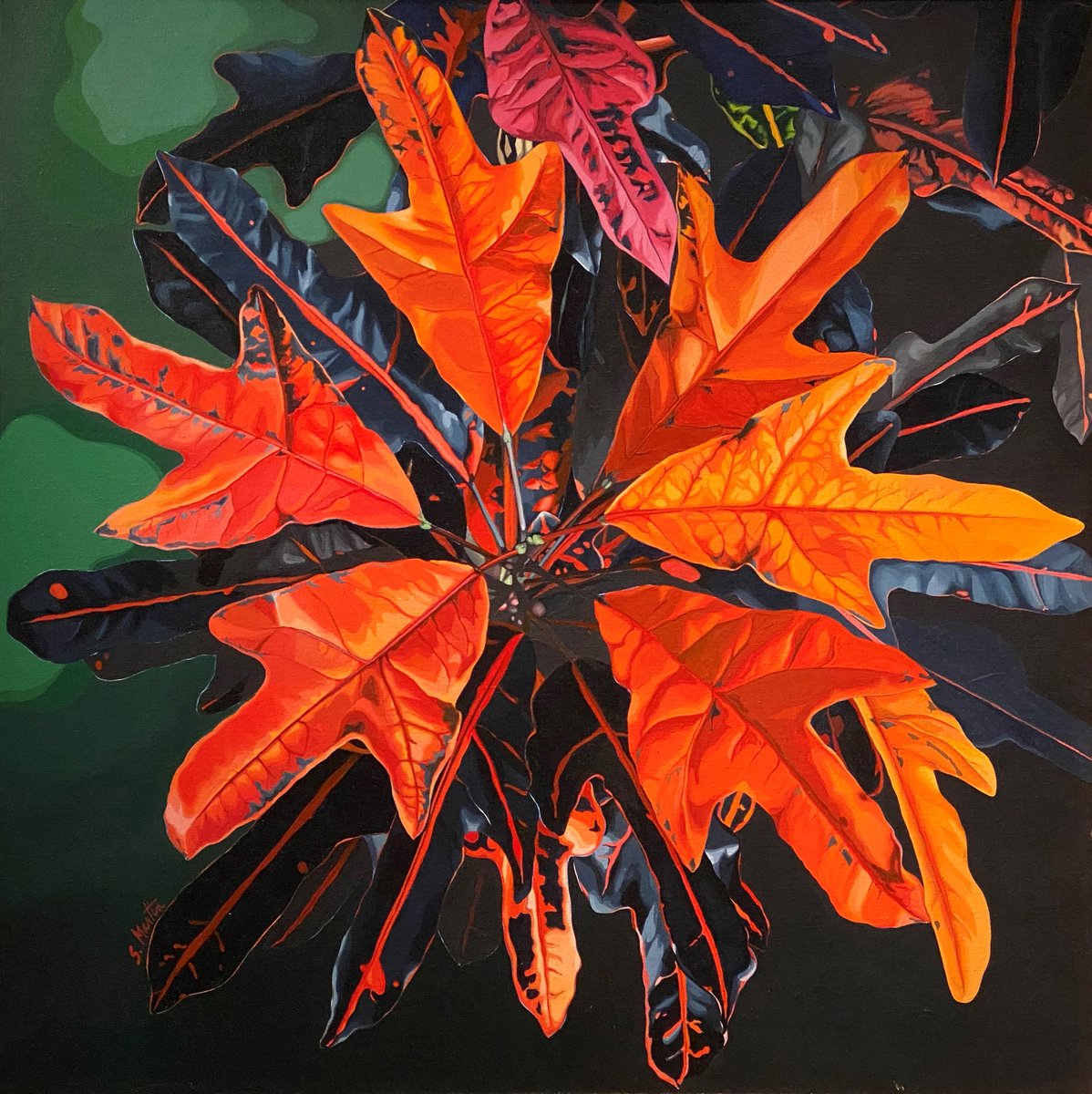AppletonMuseum's tweet image. This week's @artukdotorg #OnlineArtExchange theme is the most colorful art.

Susan Martin (American, b. 1944)
"Orange Crotons," 1979
Acrylic on canvas
Museum purchase via Florida Institute of Technology (FIT) 2021 Transfer