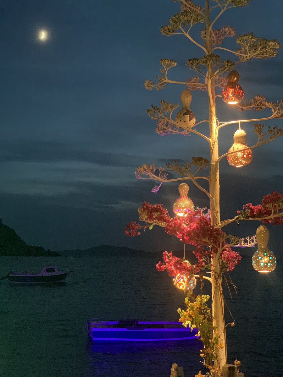 Eylül dinlenmesi en sevdiğim…🌸🌺💃