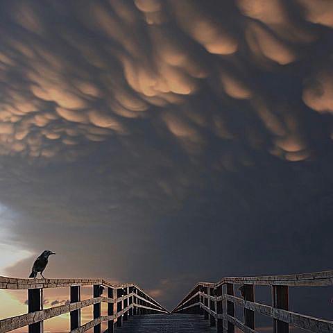 Each time
I reach the bottom of despair 
I begin to smile ~
Leonard Cohen ~ 21.9.1934-7.11.2016

youtu.be/YrLk4vdY28Q?si… 

Foto art: niphisi