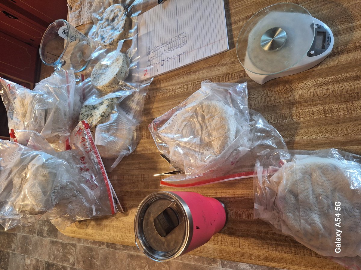 FAFOFarmsTX's tweet photo. Not a drug dealer, but a dairy dealer. We got the scales &amp; baggies 🤣🐄 #ComeandTasteIt
#dairy #cheese #familycow #milk #rawmilk #farmerscheese #smokedjalapeño #Italianherb #holistic #realfood #organic #natural https://t.co/SuSM1HOKR6