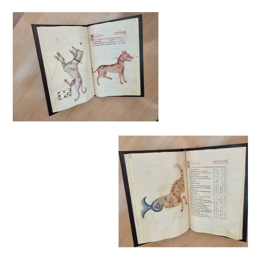 libromedieval's tweet photo. Ayer se dio el pistoletazo de salida al ciclo de conferencias "Un tesoro por descubrir. La colección de facsímiles de la Biblioteca de Geografía e Historia" de la @UCM_fghis con
Laura Fernández Fernández y Nerea Maestu Fonseca sobre el "Sufi latinus". https://t.co/PZPaunDJZA