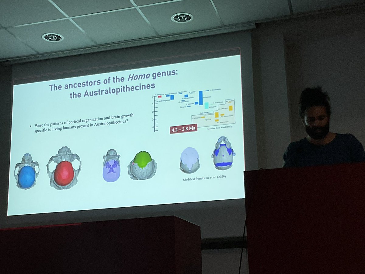 katjaQheuer's tweet photo. Now zooming into human evolution with Selim Natahi giving a fantastic presentation on The evolution of the human brain over the past 300.000 years.
With @jjhublin . Shoutout to Philipp Gunz.
#compMRI @R3RT0 @NeuroecologyLab @AssafLab https://t.co/U9CZ8qzy04