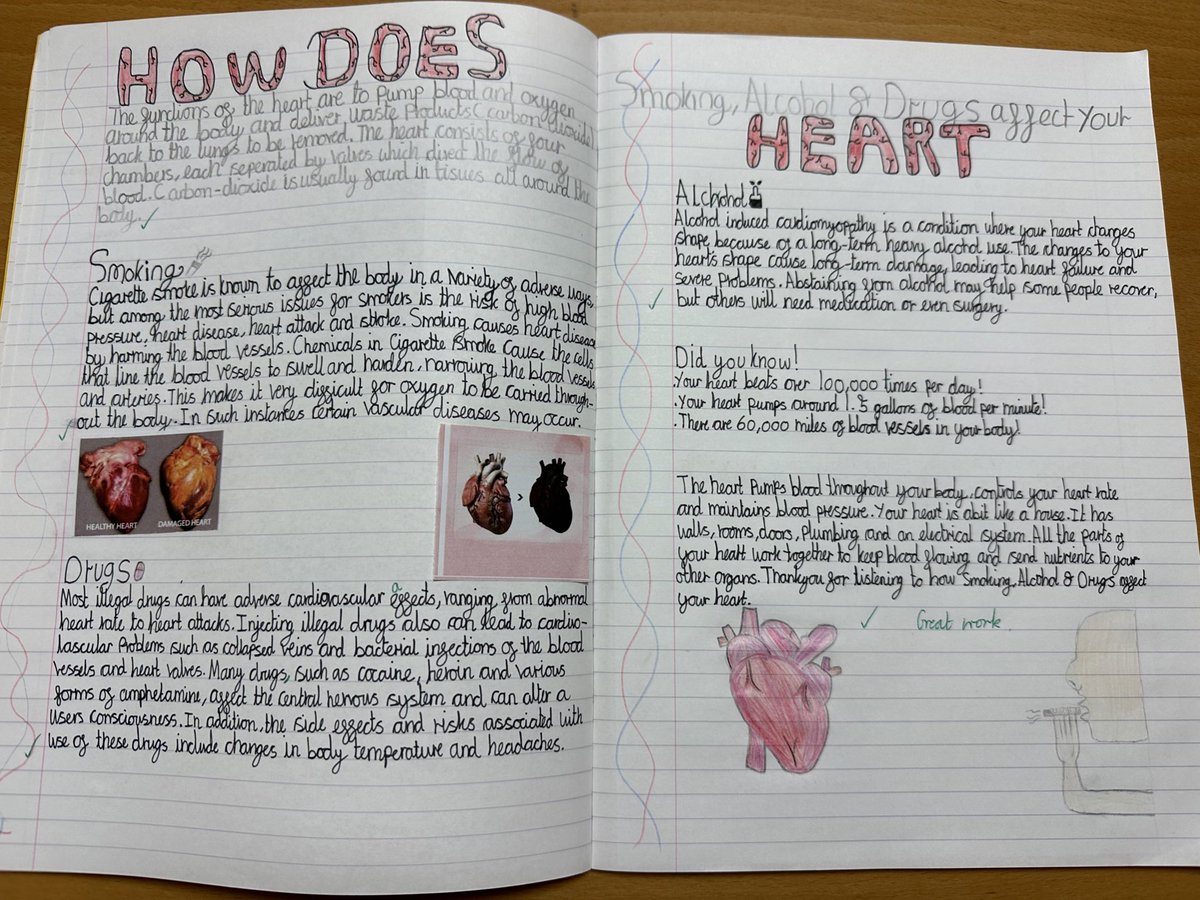 CopleyJrY5_6's tweet photo. Fantastic science work produced by Amethyst Class with some amazing illustrations. One proud teacher so early on in the term. #copleyscience https://t.co/UCjO60B6h6