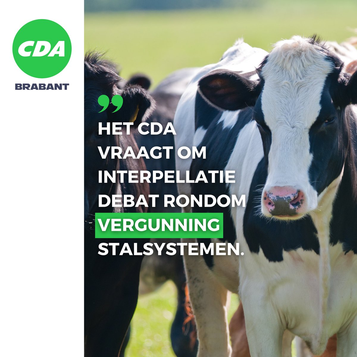 🐄 De fracties stellen dat deze wijze van handelen van GS in strijd is met verschillende beginselen van behoorlijk bestuur wanneer de verordening niet aangepast wordt. Daarom vraagt het CDA om een debat nog voor 1 oktober.

➡️ Lees hier meer: cda.nl/noord-brabant/…