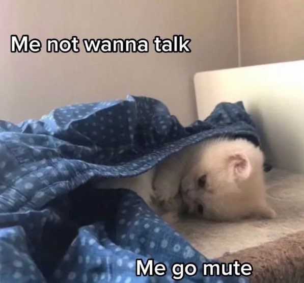 victimofanas's tweet image. without downloading any new pics, where r u mentally ?