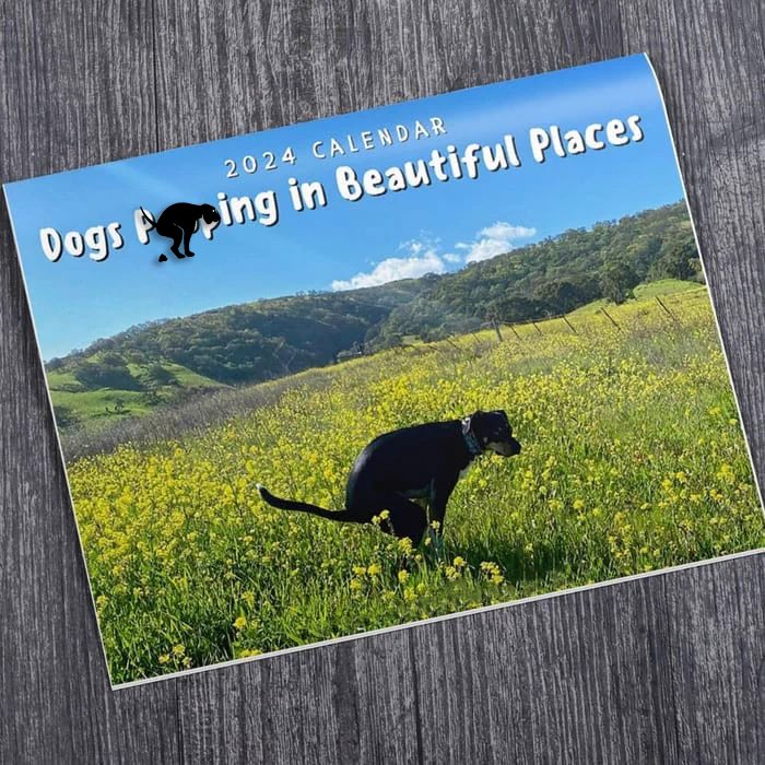 I feel like Flame should be the star of this cover #UglyDogs