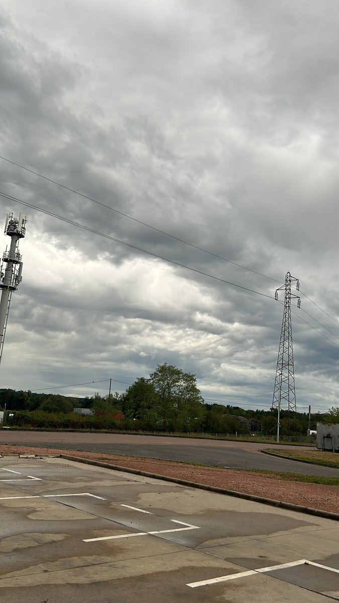 shakuuuuur tweet media